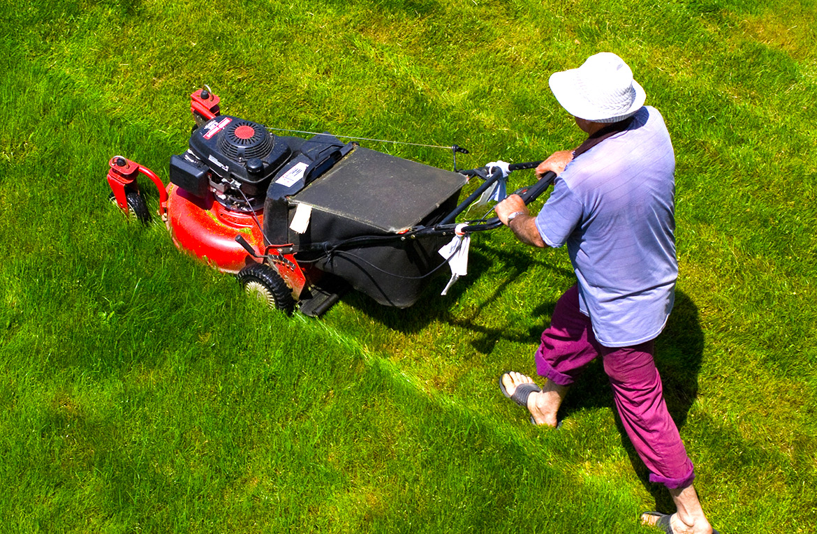 Landscaping Adds Value to Your Property