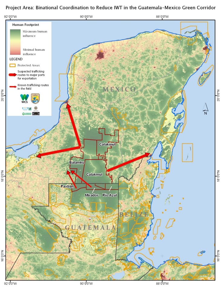 Coordinación Transfronteriza para Reducir el Tráfico Ilegal de Vida Silvestre en el Corredor Verde de Guatemala-México